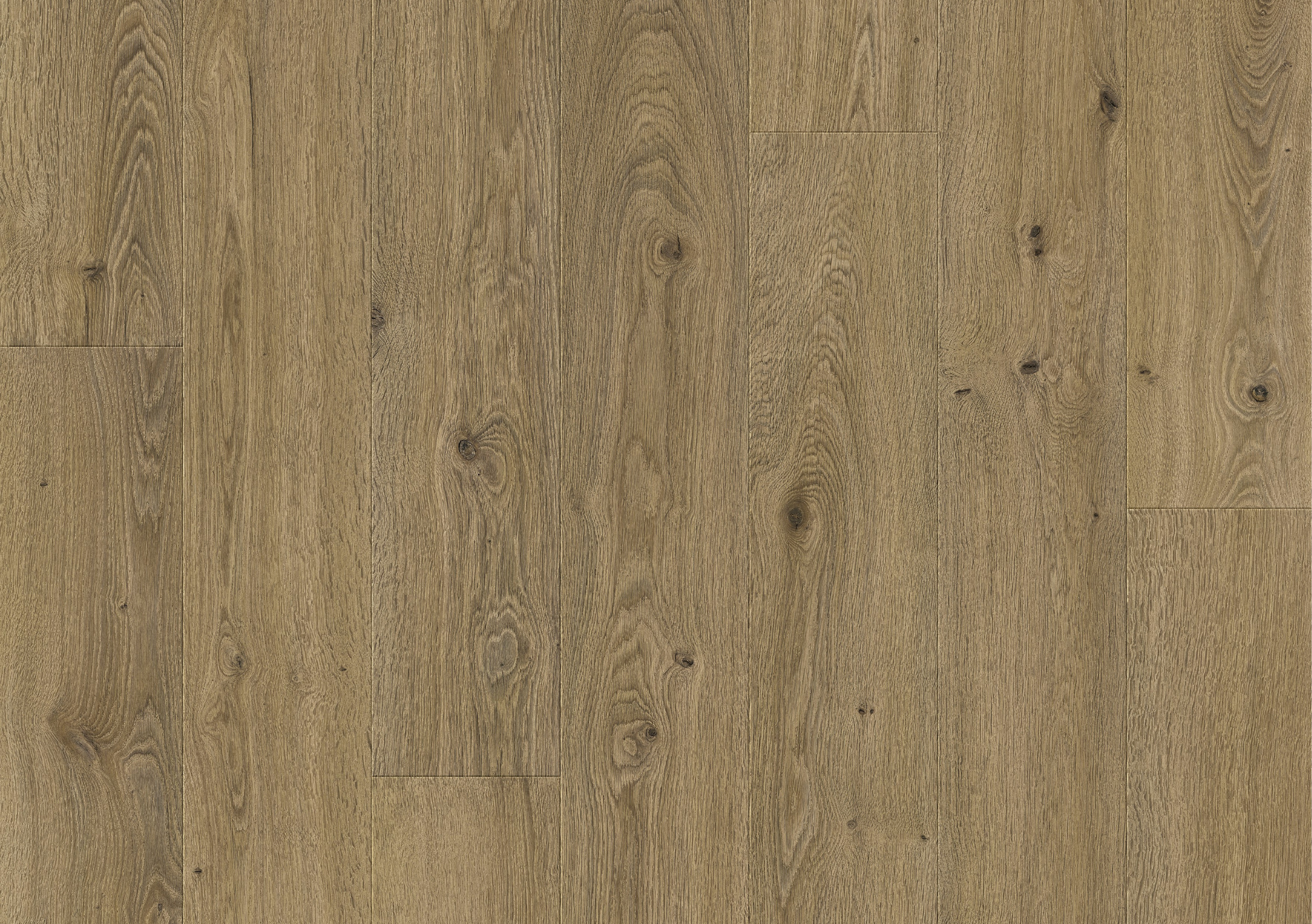 Malt Oak - Wood Innovations